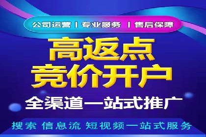行业首例：SEM推广竞价代运营的突破与挑战